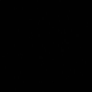 Meet your Posher, Alina